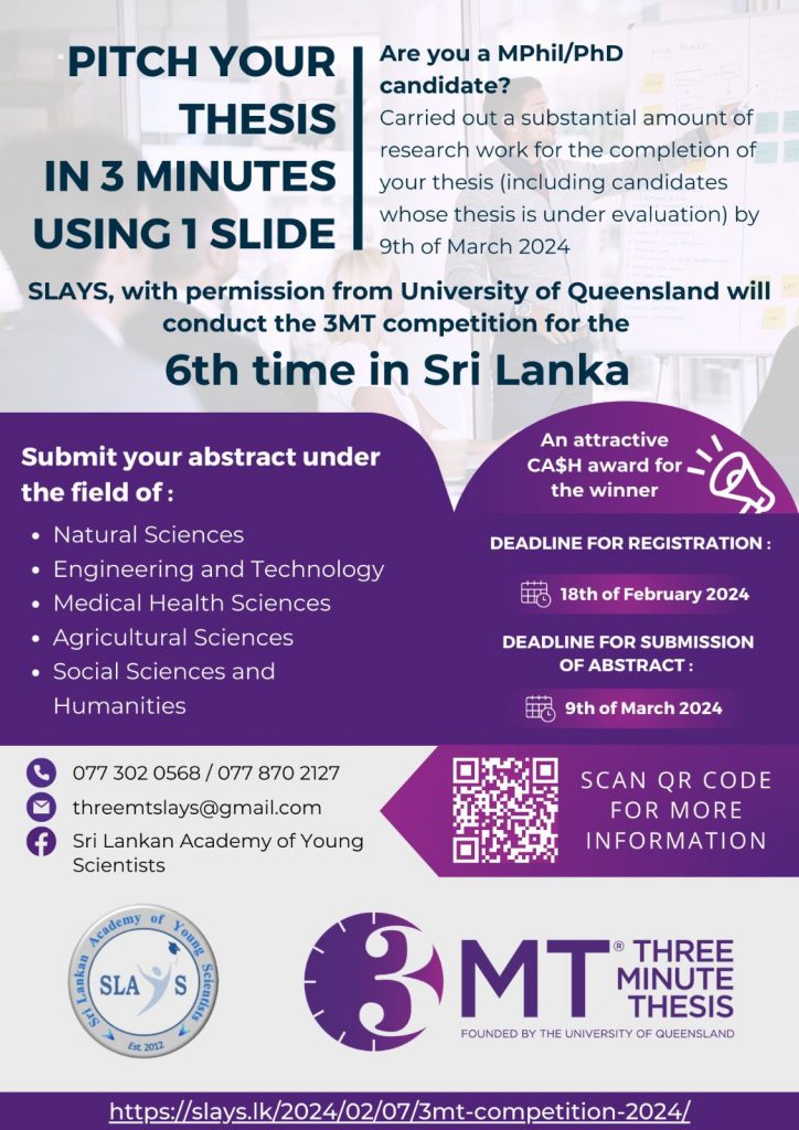 3mt flyer